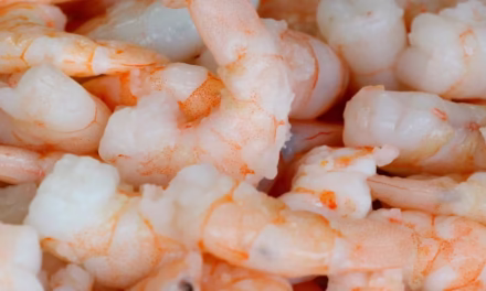 Walmart Shrimp Recall: Radioactive Shrimp Concerns Explained