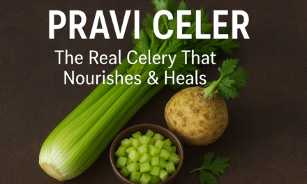Pravi Celer: The Real Celery That Nourishes & Heals